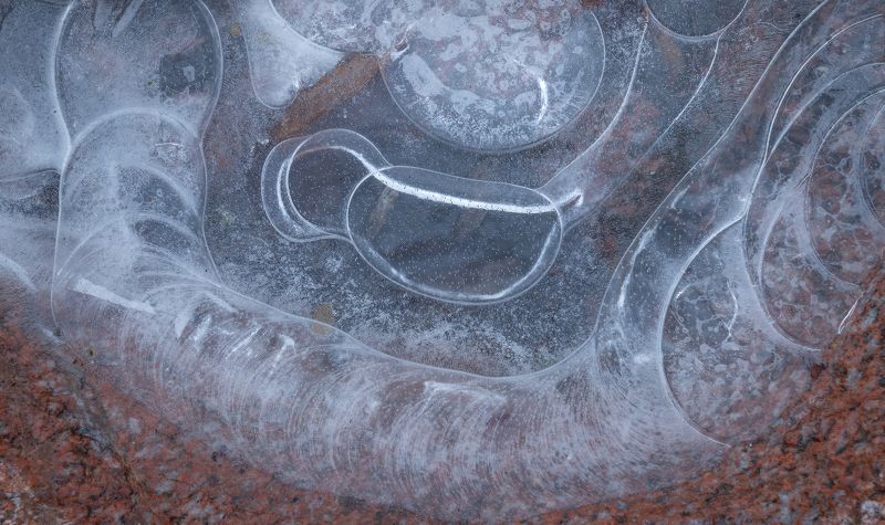 Микро Вселеннаяphoto preview