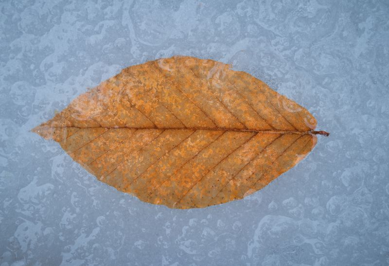 Золото и сереброphoto preview