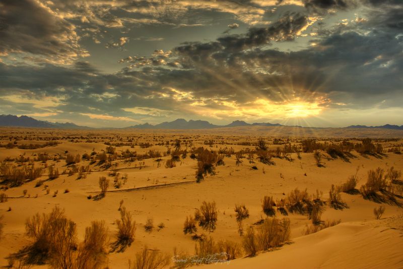 Golden Timephoto preview