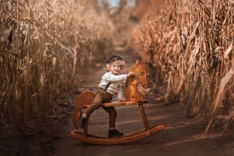 #kids , #horse , #cornmaze , #thanksgiving , #toronto #family #field #fun #happiness Corn Maze Funphoto preview