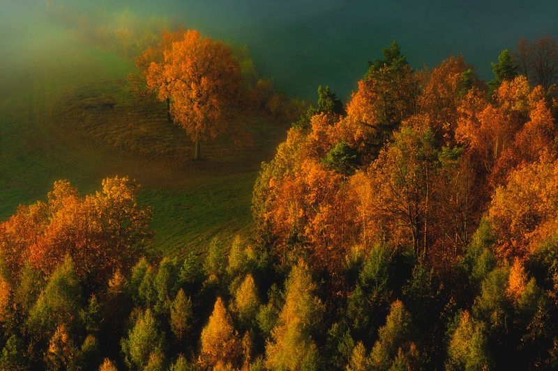 landscape,autumn,mountains,canon Autumn...IIIphoto preview
