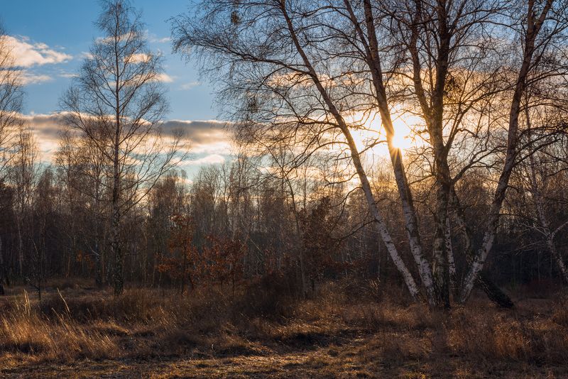 луг зима февраль закат тучи Февральский день лениво шёл к закатуphoto preview