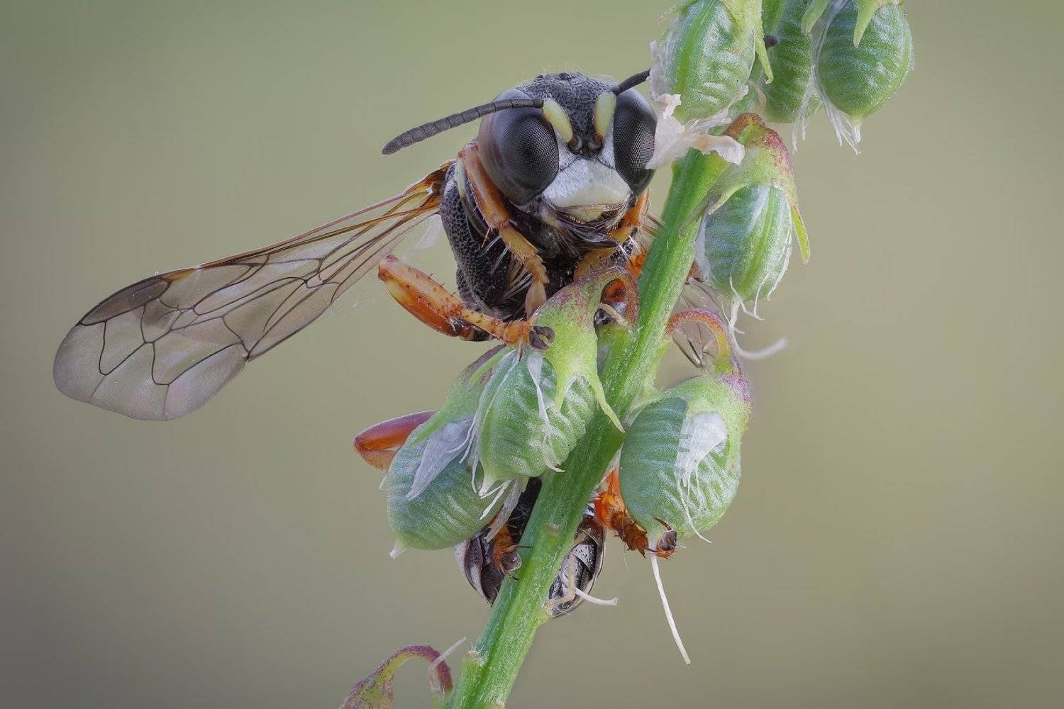 , Вадим Ходаковский