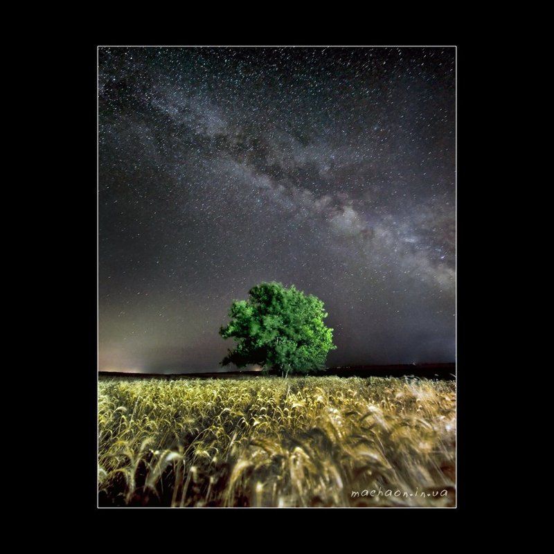 на млечном путиphoto preview