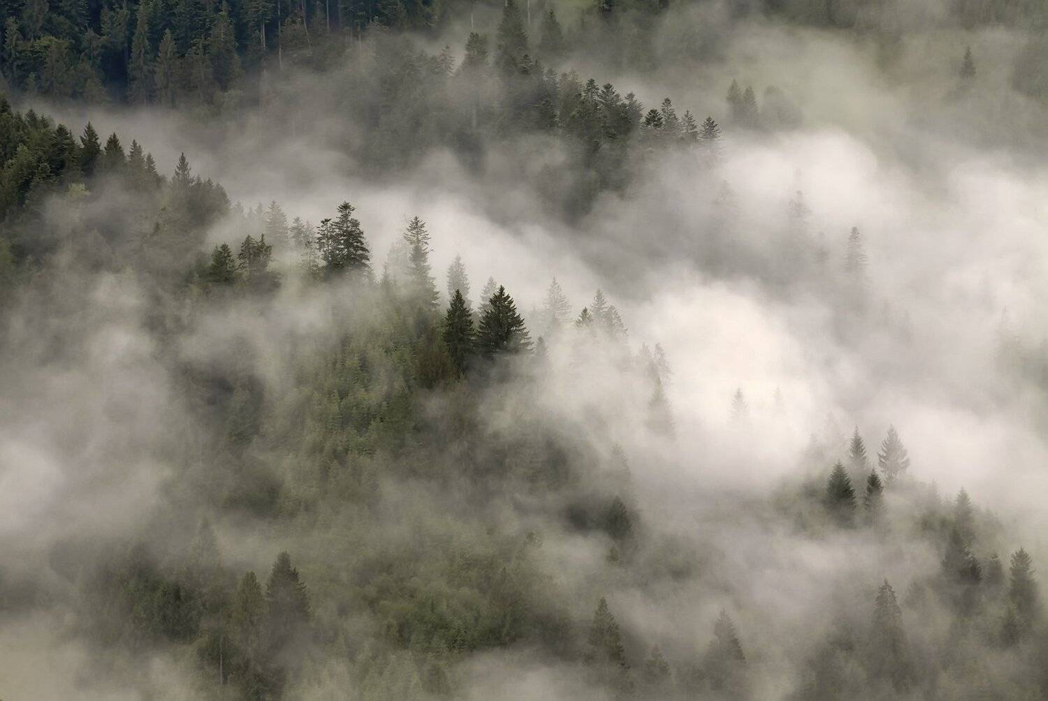 Диво.... Автор: Михаил Глаголев , Михаил Глаголев