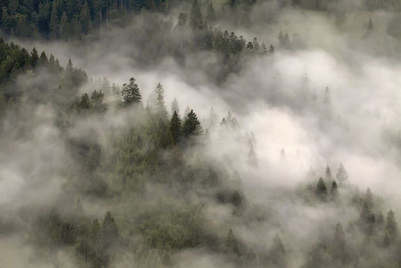 Диво...photo preview