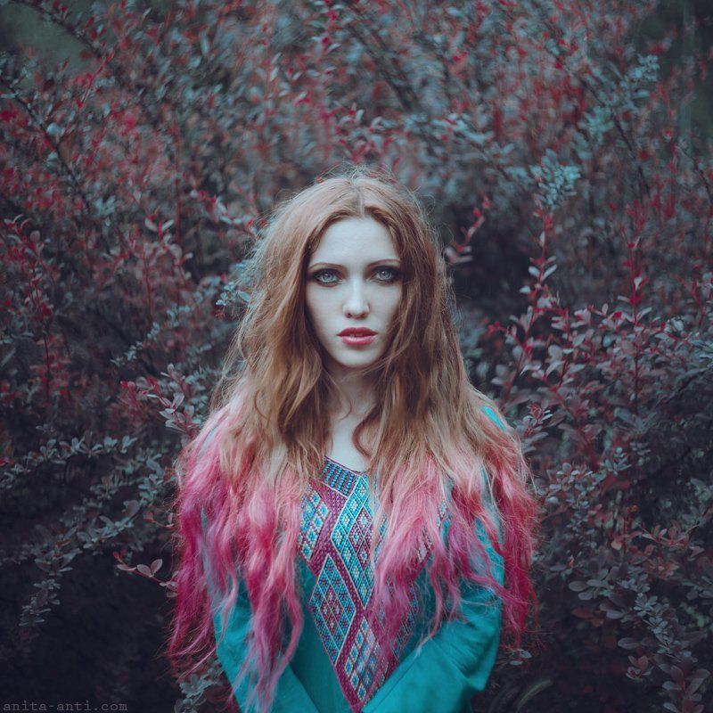 Vermillionphoto preview