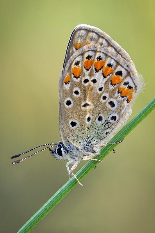 -++++++++++-photo preview