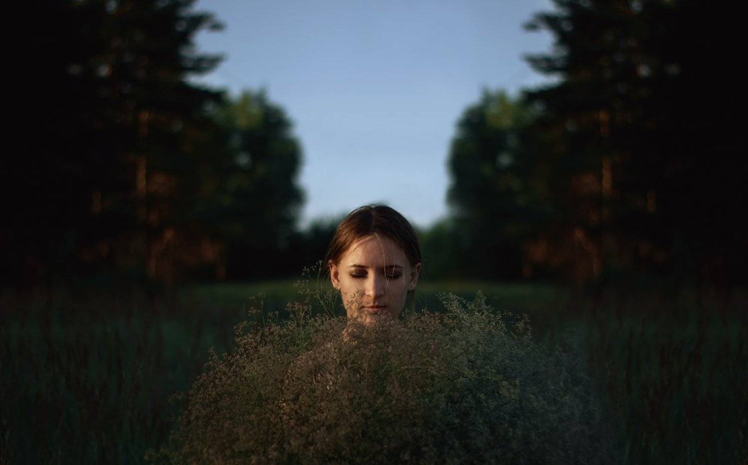 небесные цветы. Автор: Меркулов Антон , Меркулов Антон