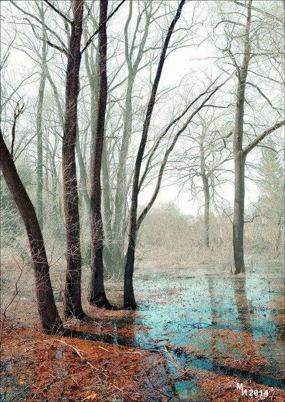 Веснаphoto preview