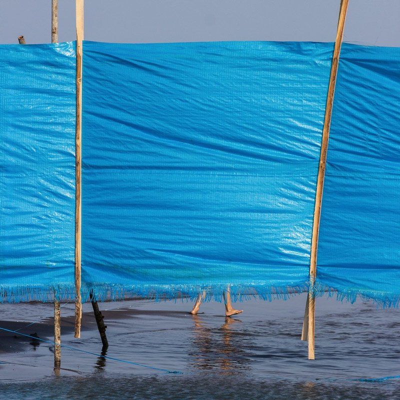 Wildernessphoto preview