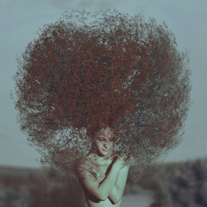 дерево жизниphoto preview