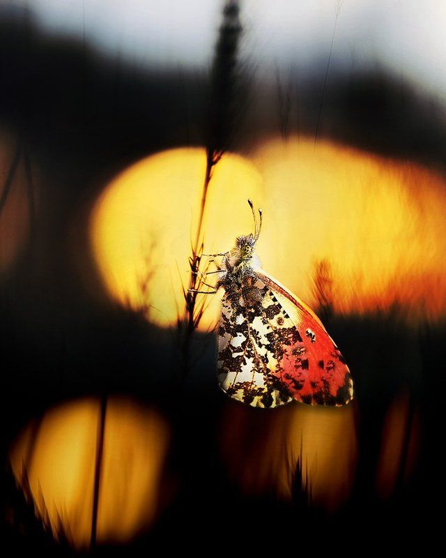 Lonely and peacefulphoto preview