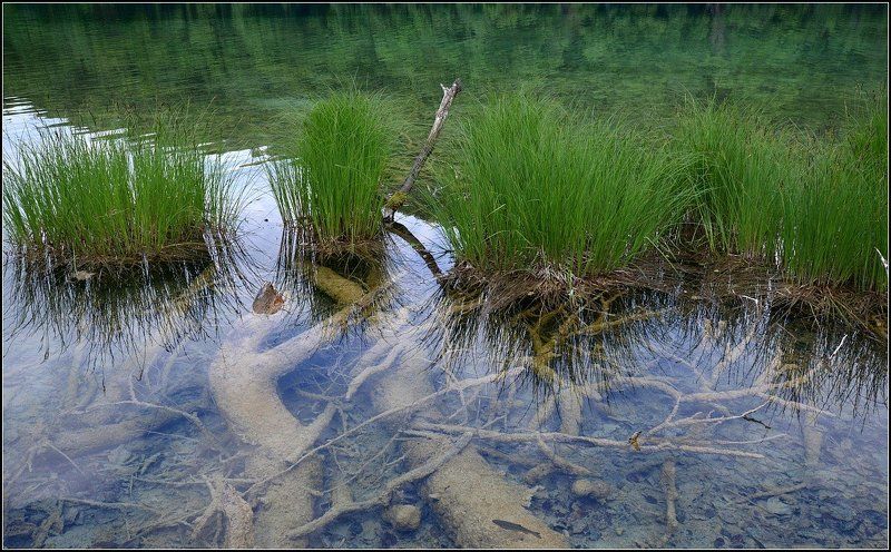 Плитвицкие Плитвица фото превью