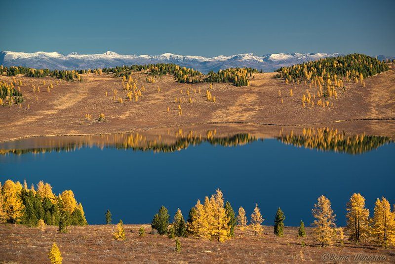 горный алтай, горы, озеро, осень, отражение, пейзаж, сентябрь, улаганский перевал Небо на земле...photo preview