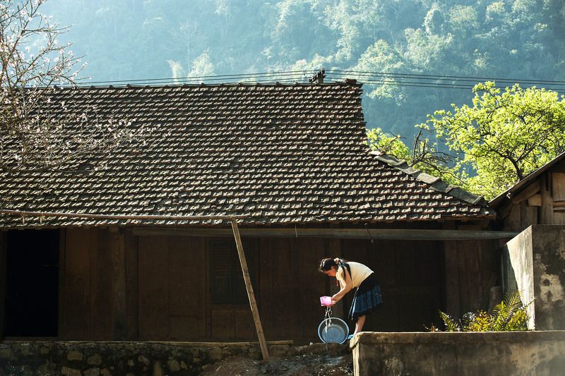 Morningphoto preview