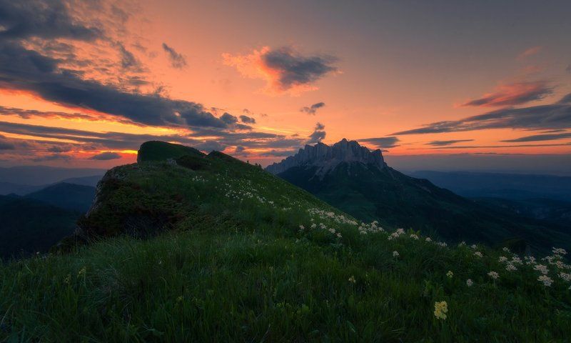 Про закат и цветыphoto preview