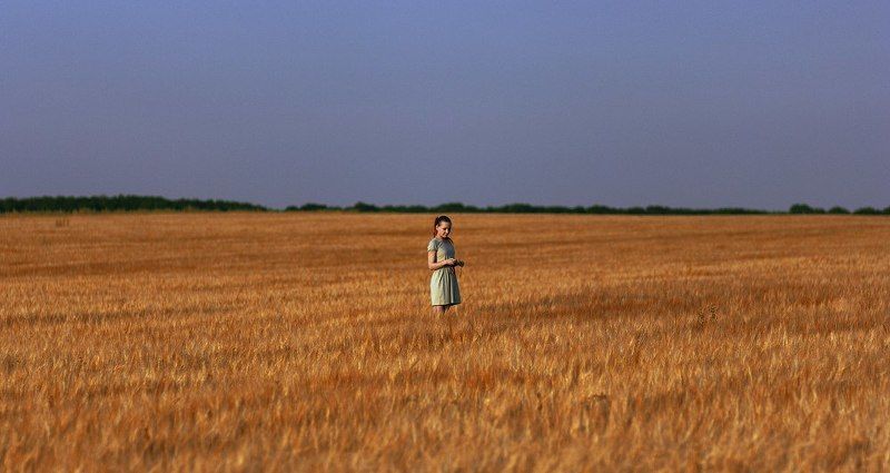 в поле колосистомphoto preview