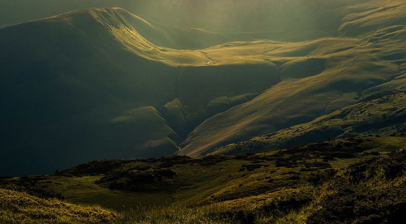 Карпатский Свидовецphoto preview