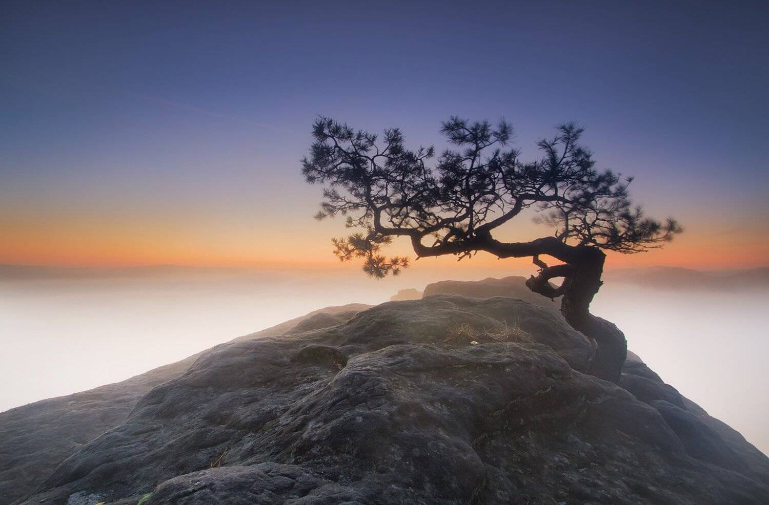 Saksonia, Uchorczak Pawel, Pawel Uchorczak