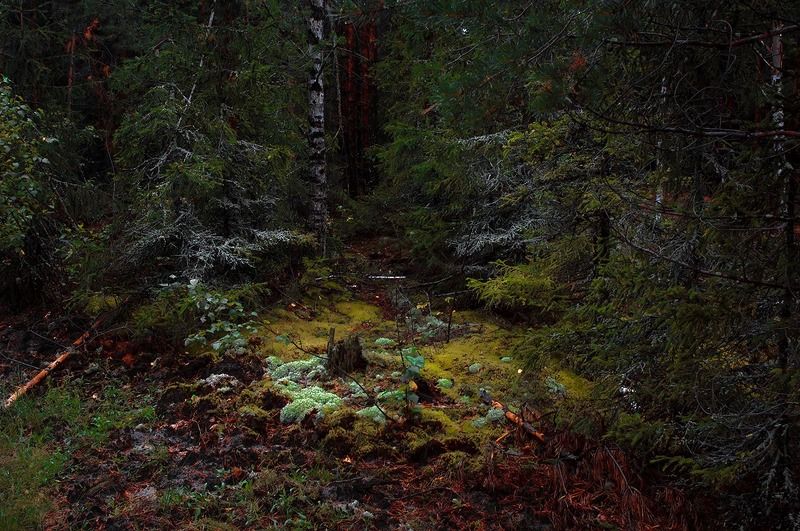 Предки и потомкиphoto preview