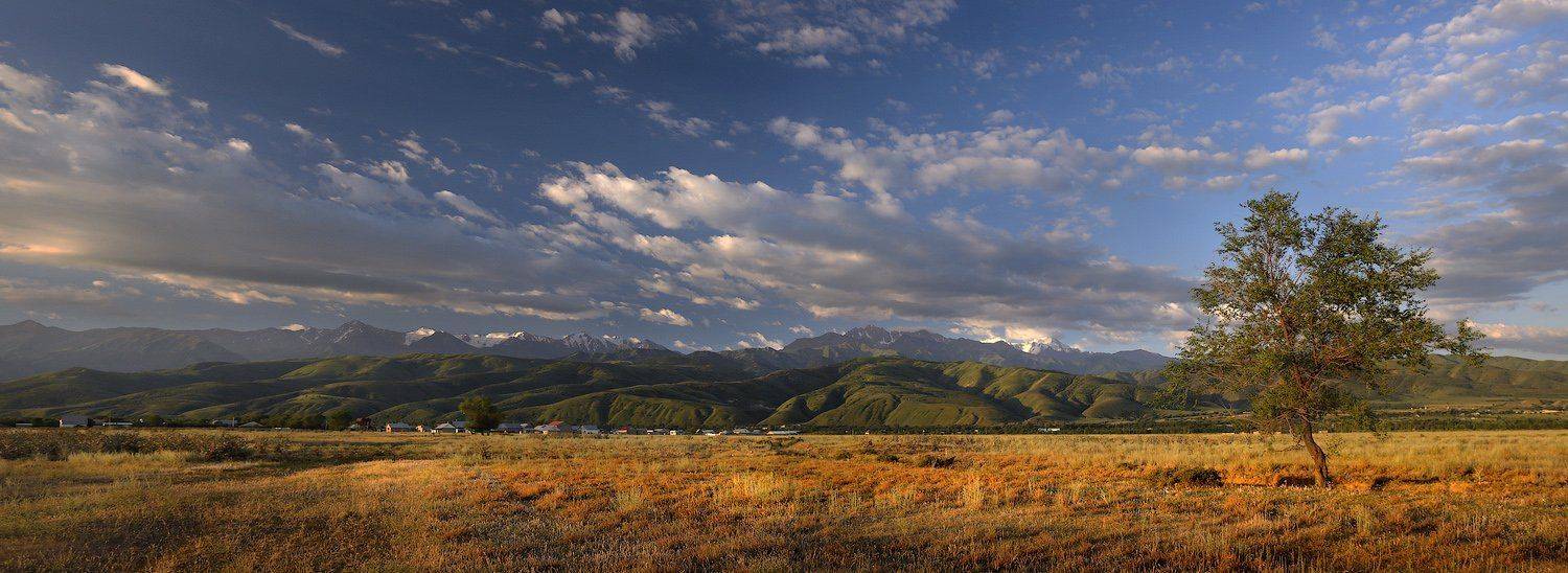 , Дмитрий Алексеев