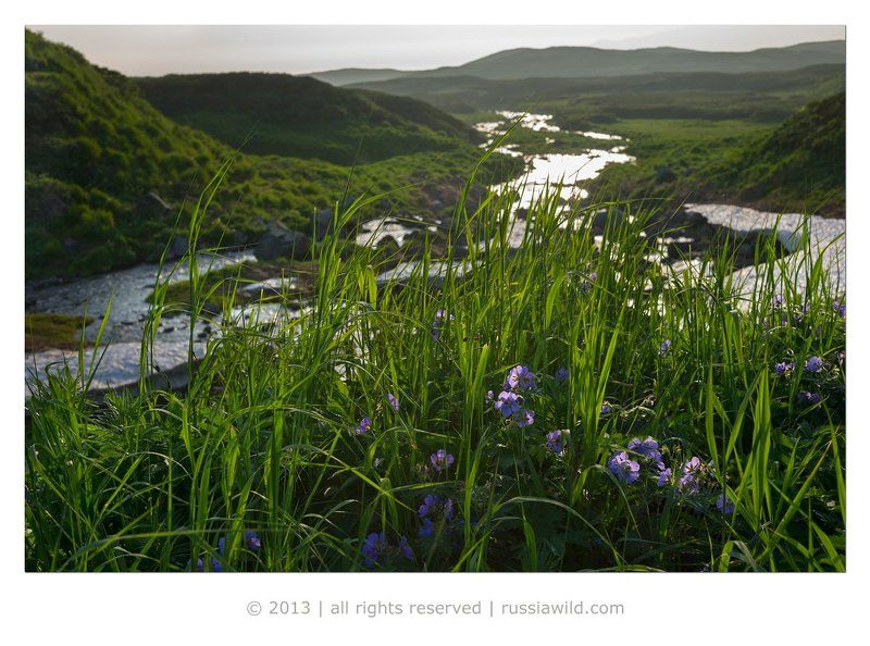 пейзаж, лето, камчатка Лето на Камчаткеphoto preview