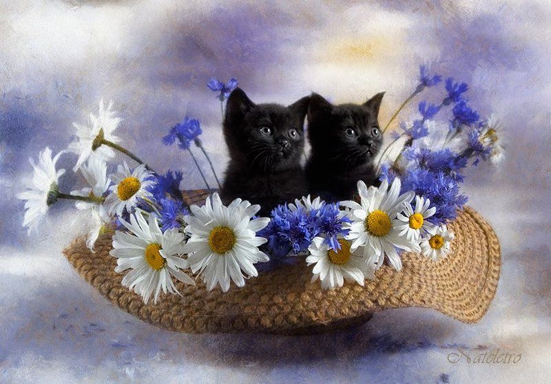 Про детство...photo preview