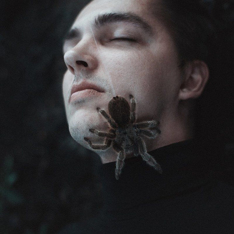 ∇↑s↑◪n∫photo preview