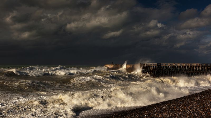 Буревестник.photo preview