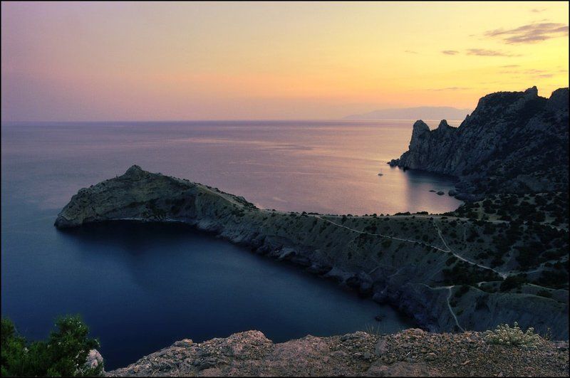 Спящий ящерphoto preview