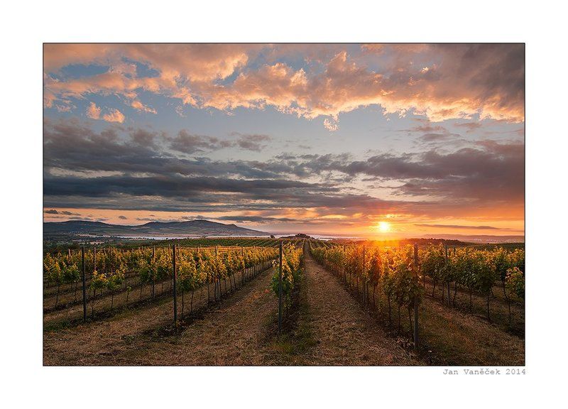 P?lava, Storm, Sunset, Wineyards sunset on Pálava wineyards after stormphoto preview