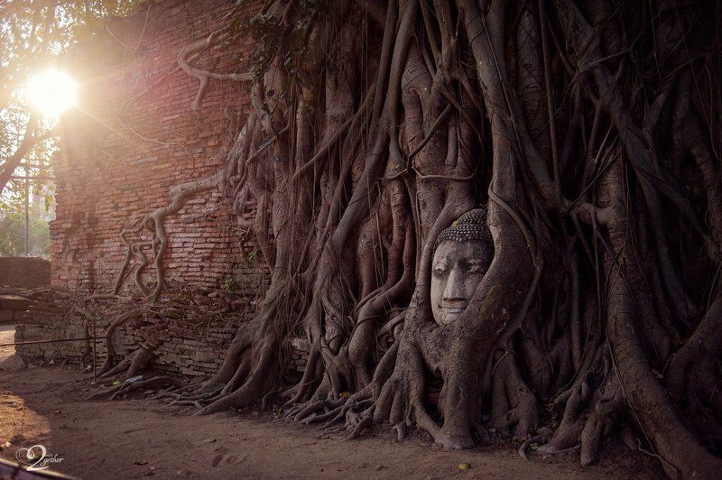 Аютайяphoto preview