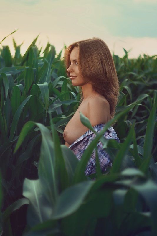 Corn field, Nude, Sunset ***photo preview