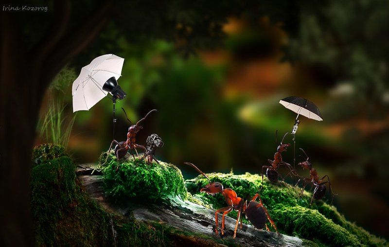 С Днем Фотографа!photo preview