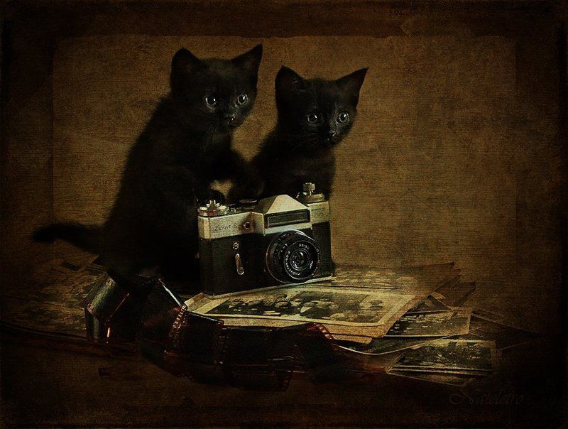 Празднично-фотографическоеphoto preview