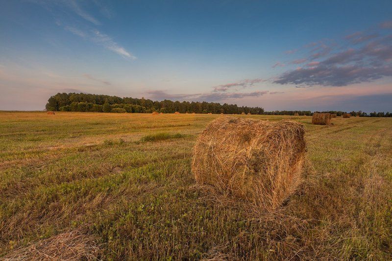 Сенное полеphoto preview