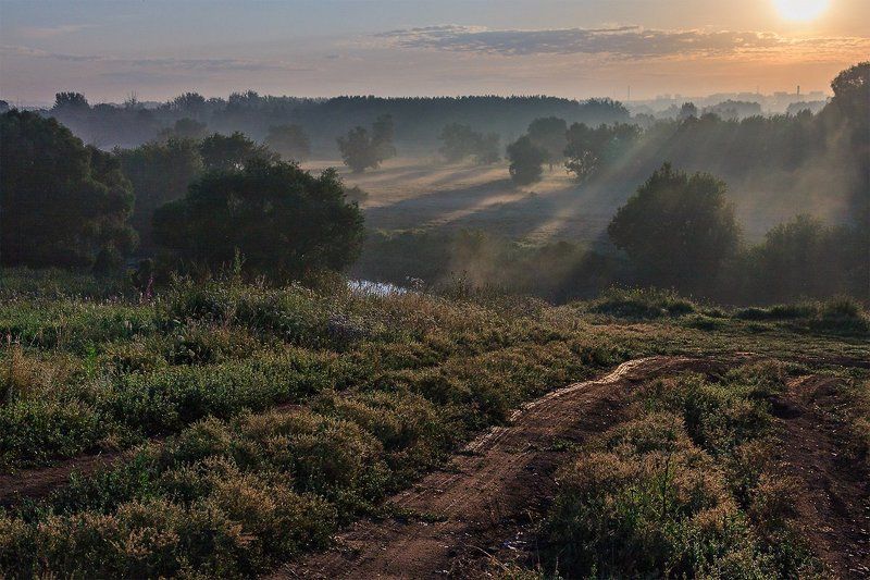 Утро близ городаphoto preview