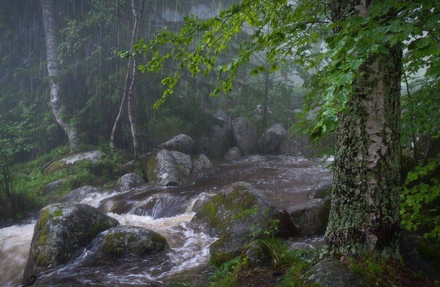 , Svetoslav Georgiev