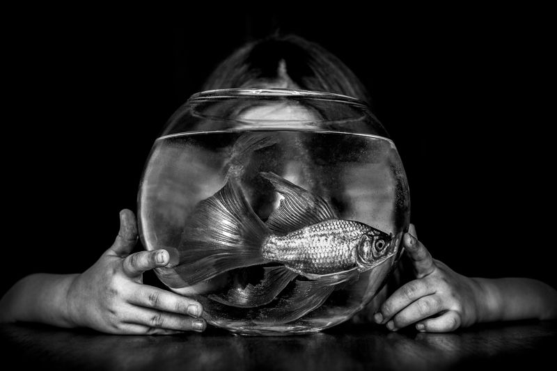 ч/б, портрет, рыба Девочка и рыбкаphoto preview