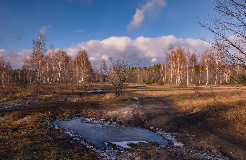 луг зима январь лужи  тучи закат Оттепель в Рождествоphoto preview