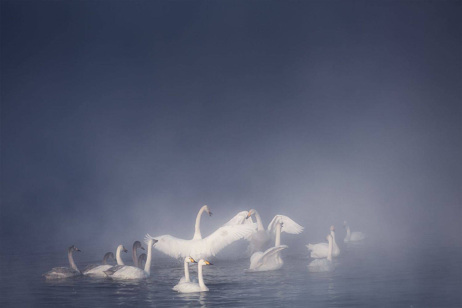 , Вадим Кононенко