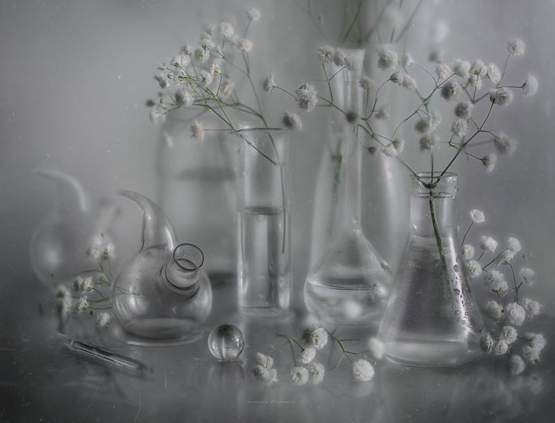 МИР*photo preview