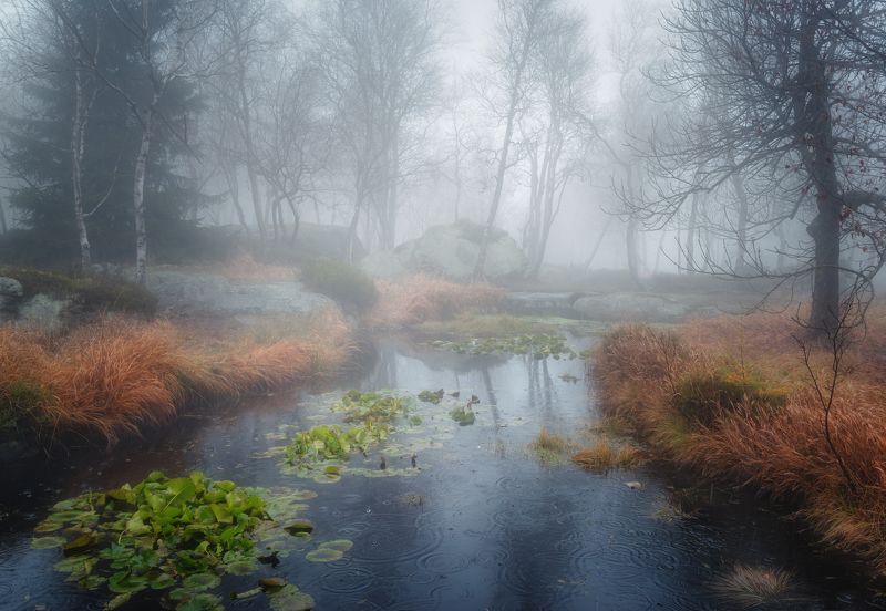 Горизонтальный  Нет людей  Фотография  На улице  Природа  Вода  Дерево  Спокойная сцена  Красота в природе  Небо  Живопись - Природа  День  Спокойствие  Туман  Отражение  Лес  Пейзаж - Пейзажи  Негородская сцена  Утро  Идиллический Туманное утро.photo preview