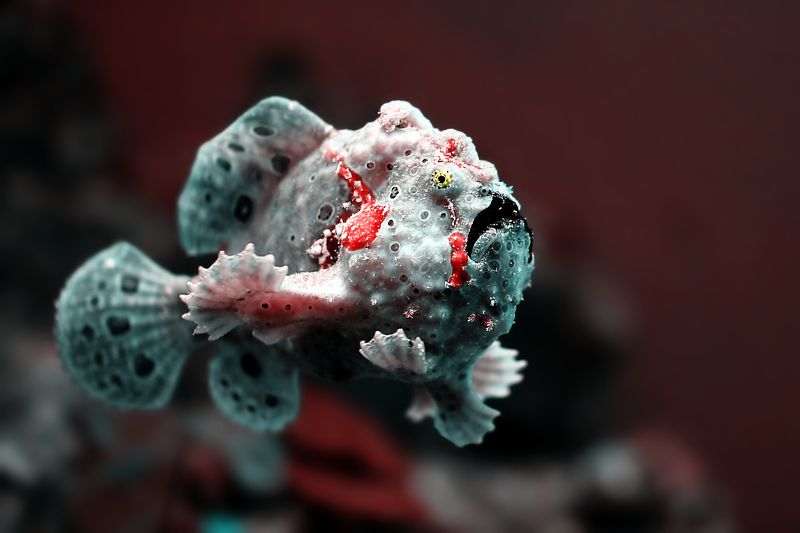 This is makeup!...photo preview