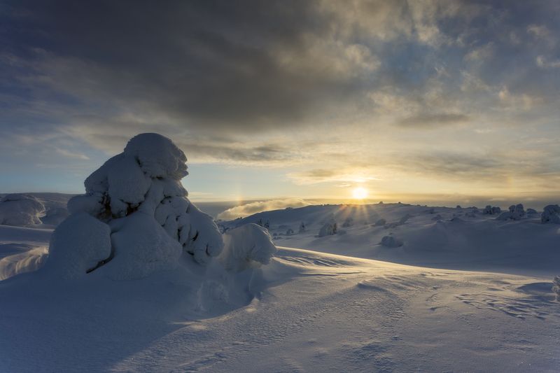 Заполярьеphoto preview