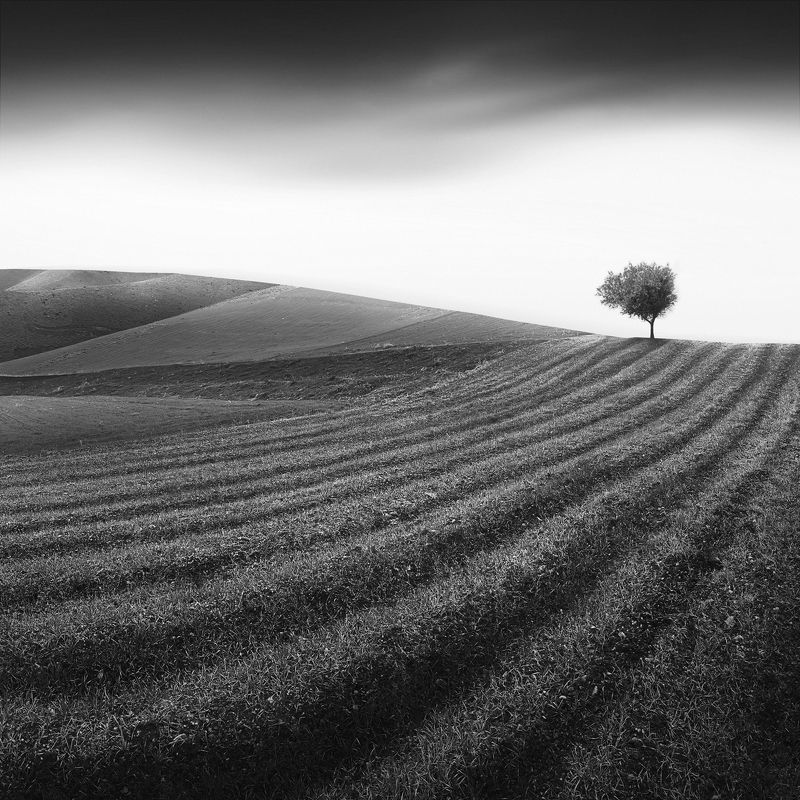 Scratchedphoto preview