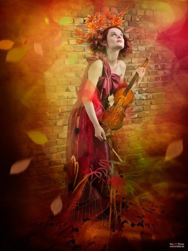 The Four Seasonsphoto preview