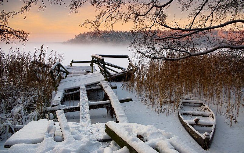 In the portphoto preview