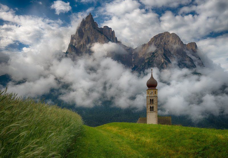 Что посеешь, то и пожнешьphoto preview